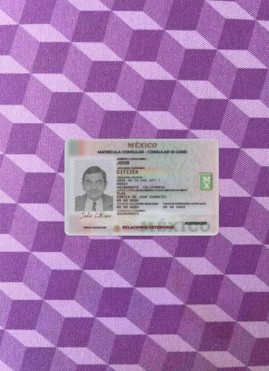 Realistic Mexico Consular ID card photolook download for verification